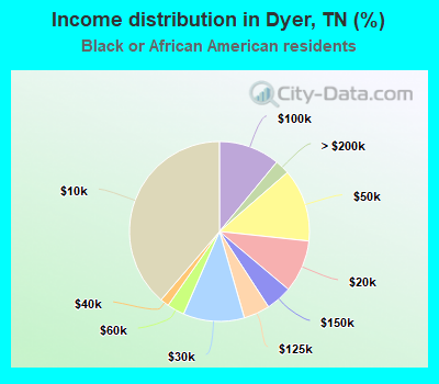 Income distribution in Dyer, TN (%)