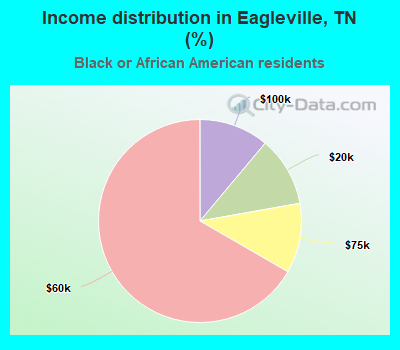 Income distribution in Eagleville, TN (%)