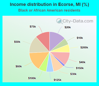 Income distribution in Ecorse, MI (%)