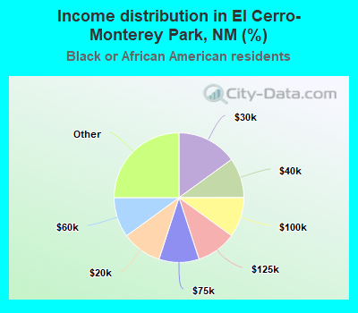 Income distribution in El Cerro-Monterey Park, NM (%)