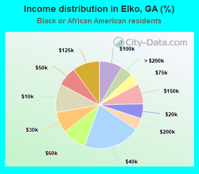 Income distribution in Elko, GA (%)