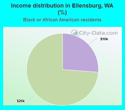 Income distribution in Ellensburg, WA (%)