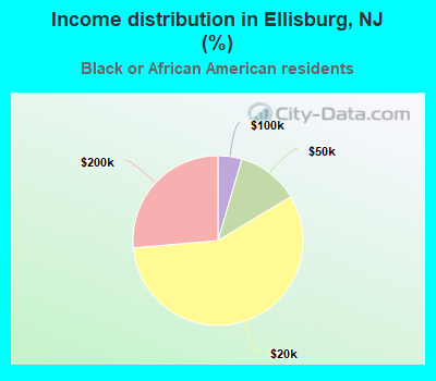 Income distribution in Ellisburg, NJ (%)