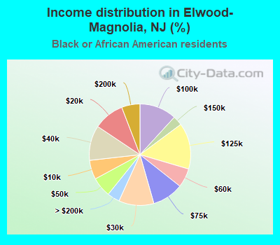 Income distribution in Elwood-Magnolia, NJ (%)