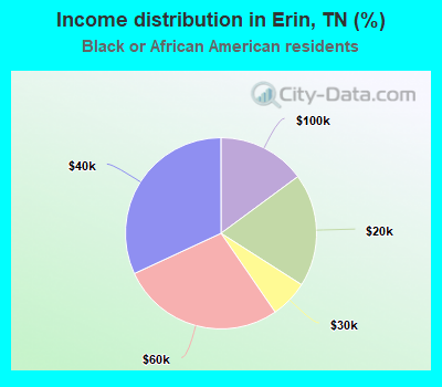 Income distribution in Erin, TN (%)