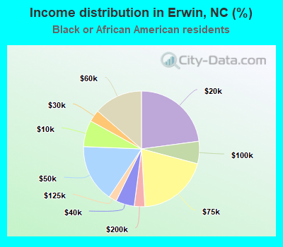 Income distribution in Erwin, NC (%)