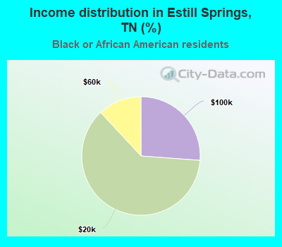 Income distribution in Estill Springs, TN (%)