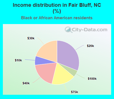 Income distribution in Fair Bluff, NC (%)