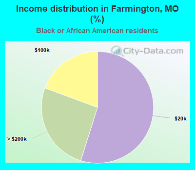 Income distribution in Farmington, MO (%)