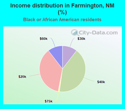 Income distribution in Farmington, NM (%)