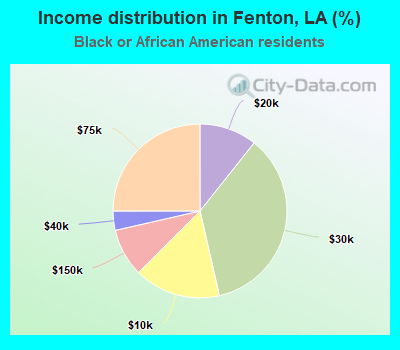 Income distribution in Fenton, LA (%)