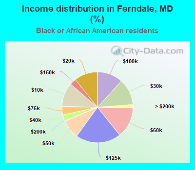 Income distribution in Ferndale, MD (%)