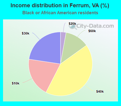 Income distribution in Ferrum, VA (%)