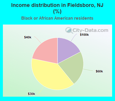 Income distribution in Fieldsboro, NJ (%)