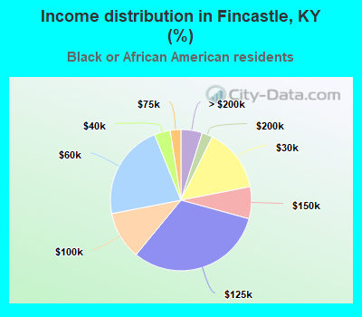 Income distribution in Fincastle, KY (%)