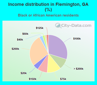 Income distribution in Flemington, GA (%)