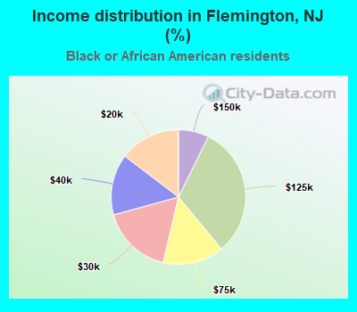 Income distribution in Flemington, NJ (%)