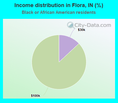 Income distribution in Flora, IN (%)