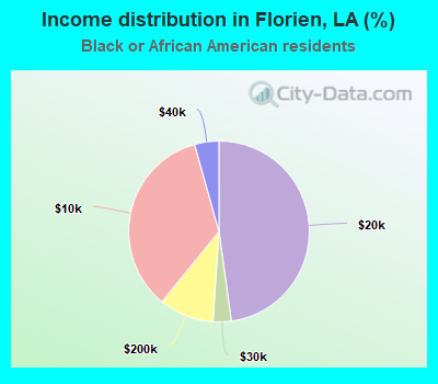 Income distribution in Florien, LA (%)