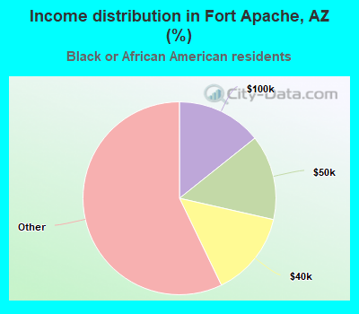 Income distribution in Fort Apache, AZ (%)