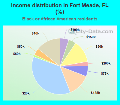 Income distribution in Fort Meade, FL (%)