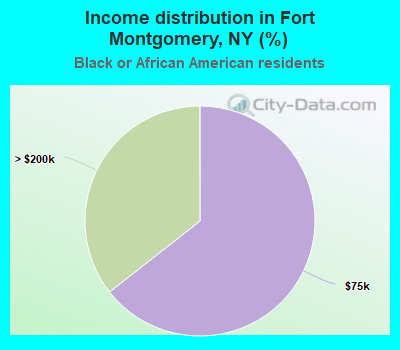 Income distribution in Fort Montgomery, NY (%)