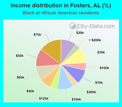 Income distribution in Fosters, AL (%)