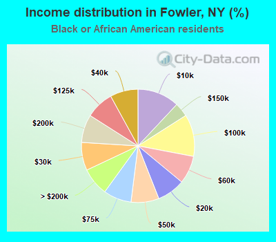 Income distribution in Fowler, NY (%)