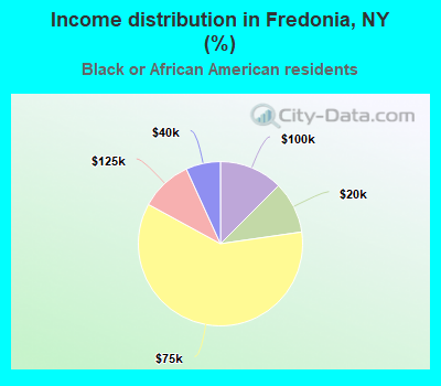 Income distribution in Fredonia, NY (%)
