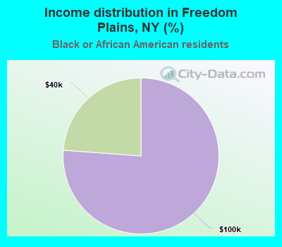 Income distribution in Freedom Plains, NY (%)