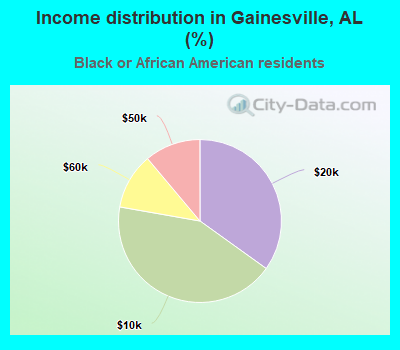 Income distribution in Gainesville, AL (%)