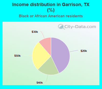 Income distribution in Garrison, TX (%)