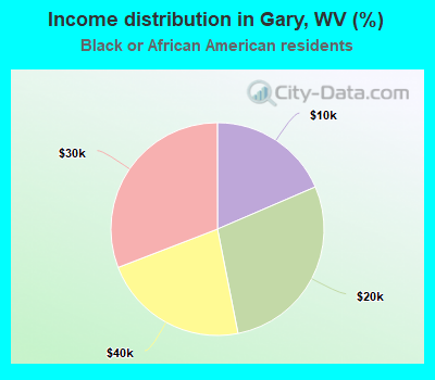 Income distribution in Gary, WV (%)