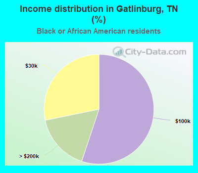 Income distribution in Gatlinburg, TN (%)