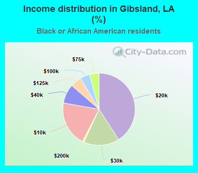 Income distribution in Gibsland, LA (%)