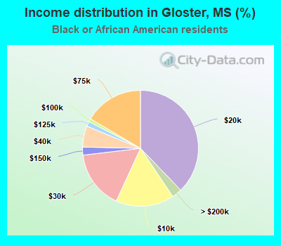 Income distribution in Gloster, MS (%)