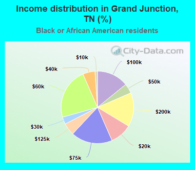 Income distribution in Grand Junction, TN (%)