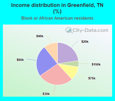 Income distribution in Greenfield, TN (%)