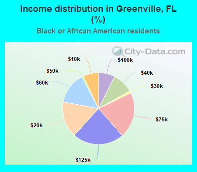 Income distribution in Greenville, FL (%)