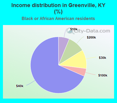 Income distribution in Greenville, KY (%)