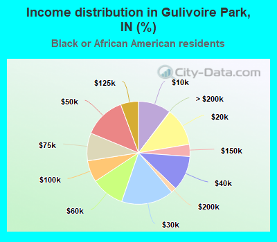 Income distribution in Gulivoire Park, IN (%)