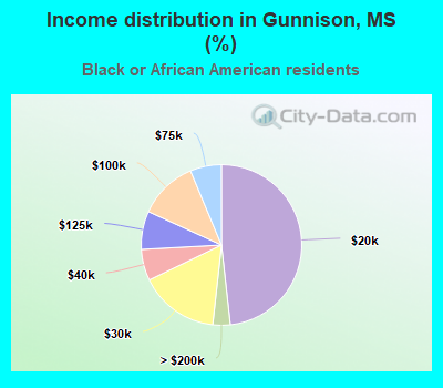 Income distribution in Gunnison, MS (%)