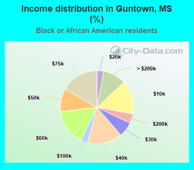 Income distribution in Guntown, MS (%)