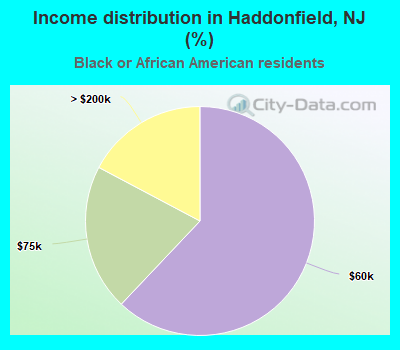 Income distribution in Haddonfield, NJ (%)