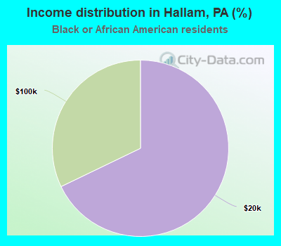 Income distribution in Hallam, PA (%)