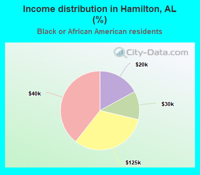 Income distribution in Hamilton, AL (%)