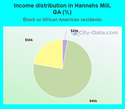 Income distribution in Hannahs Mill, GA (%)