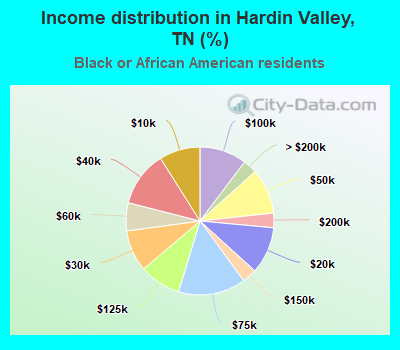 Income distribution in Hardin Valley, TN (%)