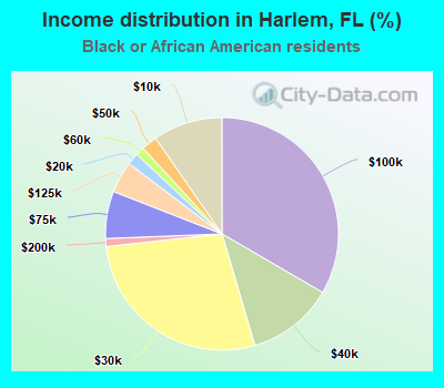 Income distribution in Harlem, FL (%)