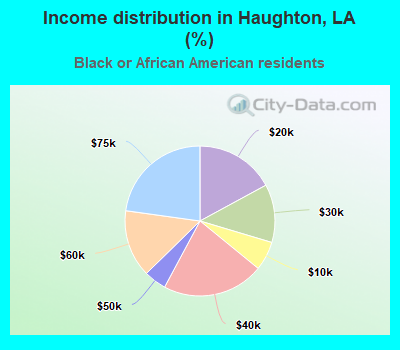 Income distribution in Haughton, LA (%)
